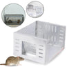 Ultratrap™ | Highly Sensitive Automatic Mouse Trap