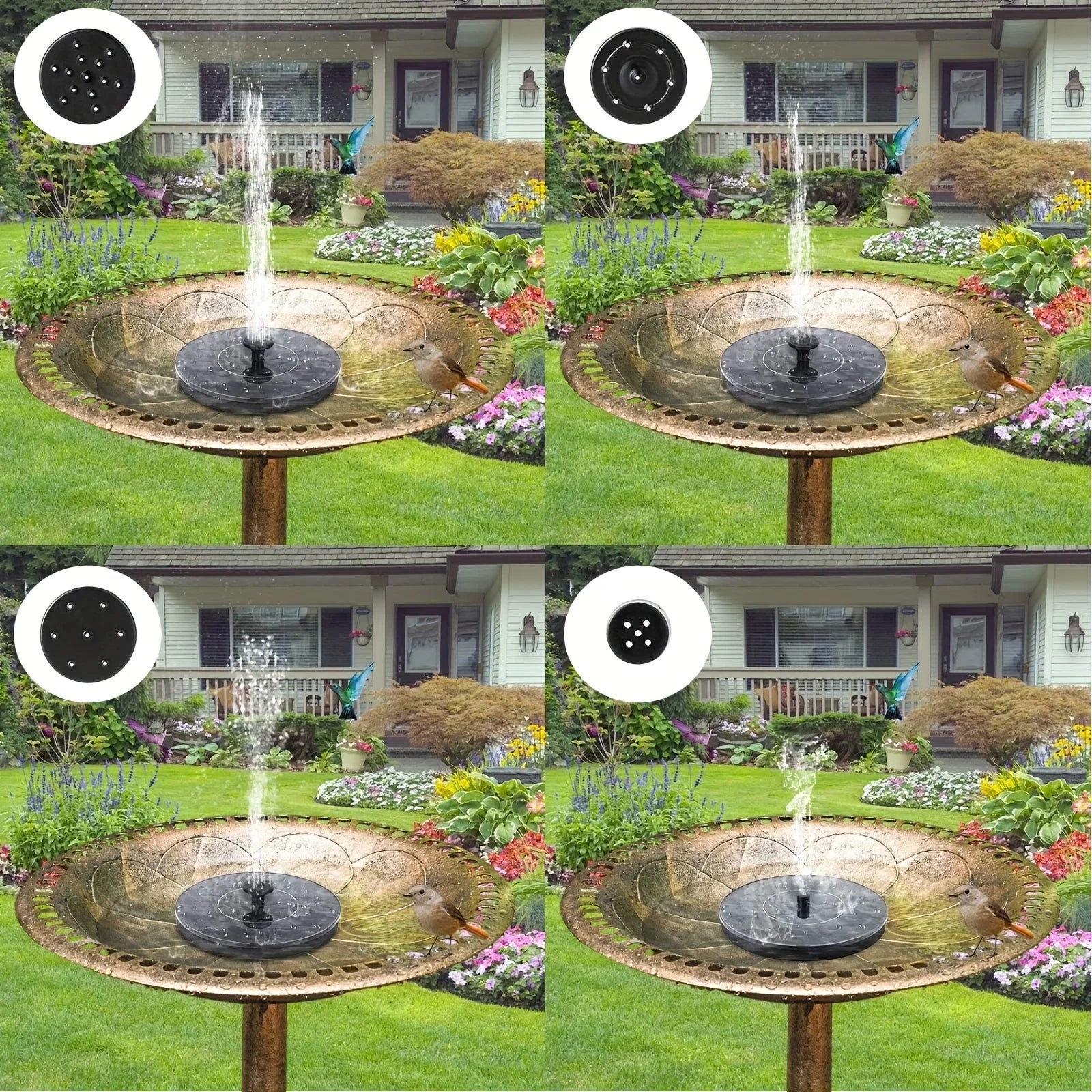 SunBath™ | Solar Fountain Pump for Bird Bath